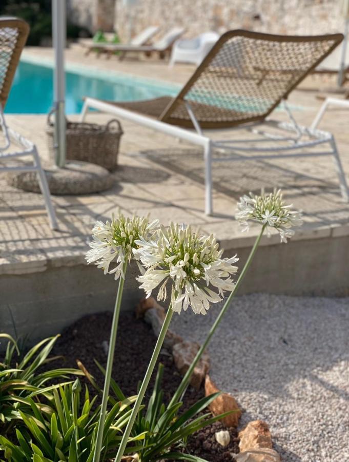 Dimora Le Ginestre Adults Only Bed & Breakfast Fasano Eksteriør bilde